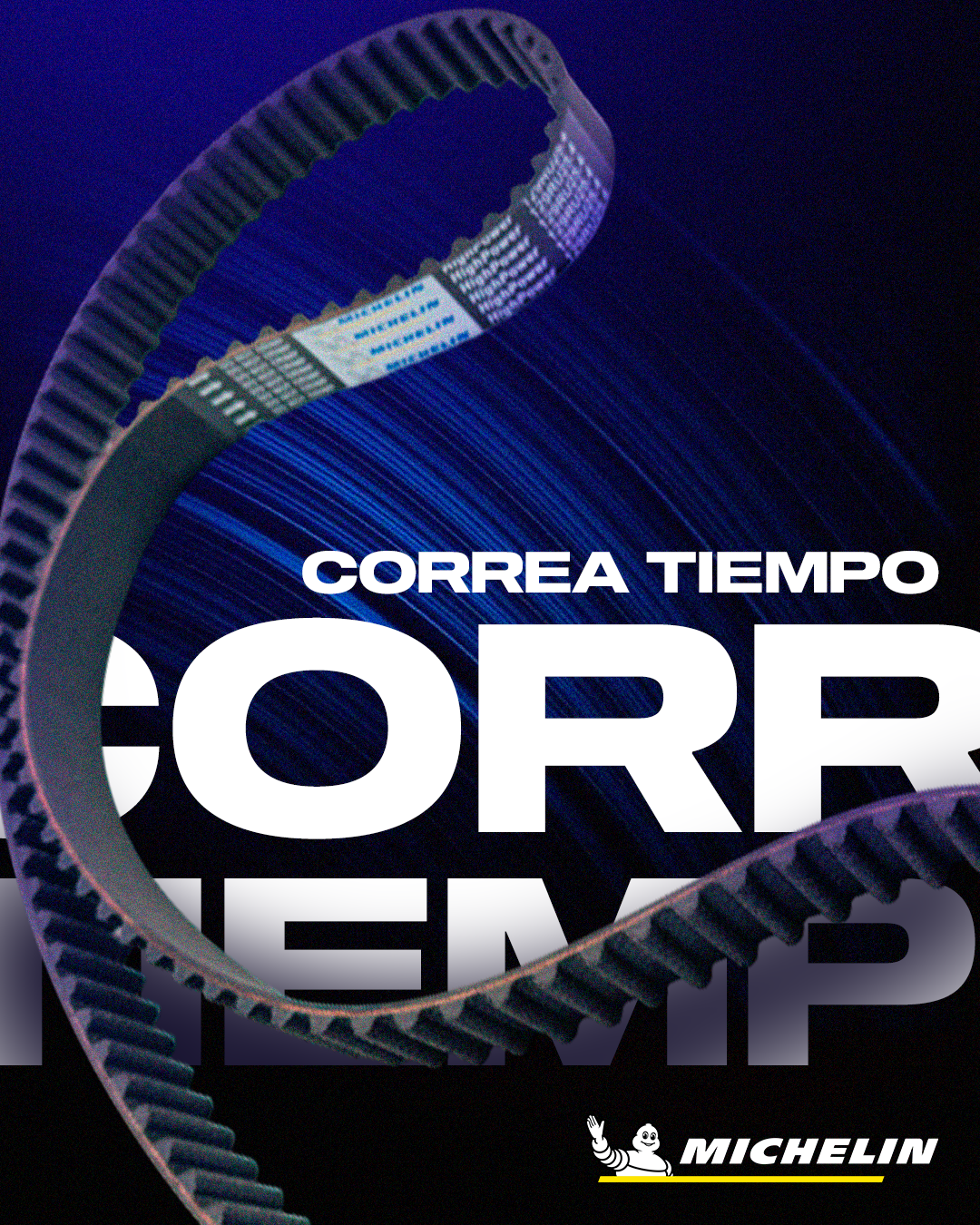 Soporte